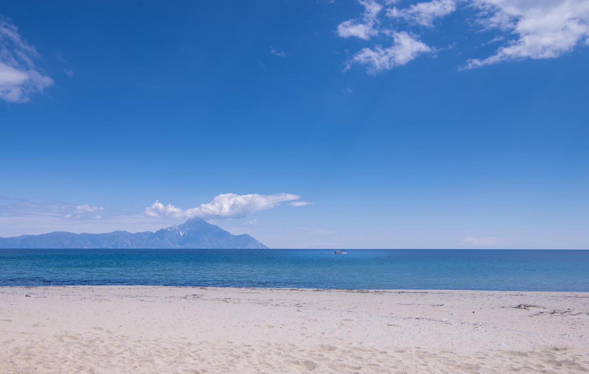 Villa Menie - Golden Fig Sykia Lodge Paralia Sikias المظهر الخارجي الصورة