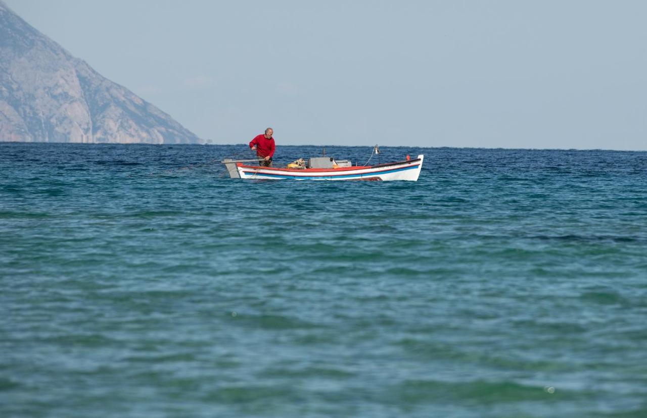 Villa Menie - Golden Fig Sykia Lodge Paralia Sikias المظهر الخارجي الصورة