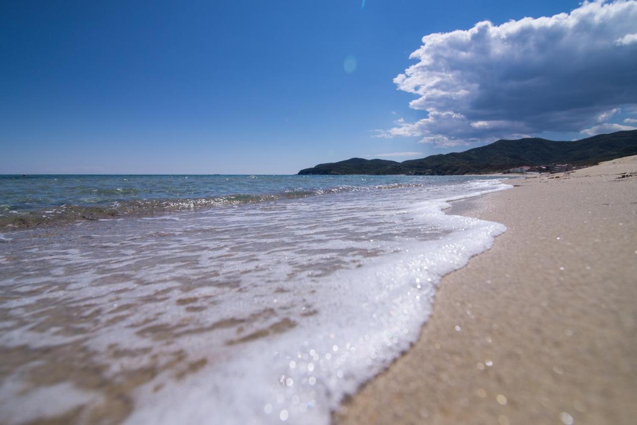 Villa Menie - Golden Fig Sykia Lodge Paralia Sikias المظهر الخارجي الصورة